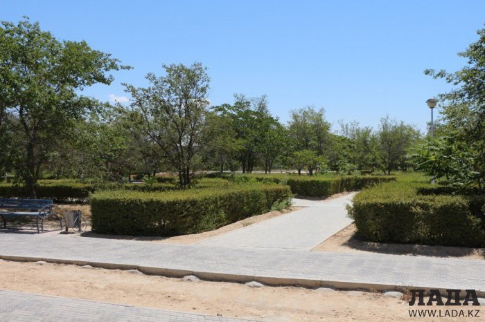 Фоторепортаж: Состояние зеленых насаждений у мечети в Актау