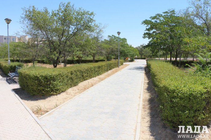 Фоторепортаж: Состояние зеленых насаждений у мечети в Актау