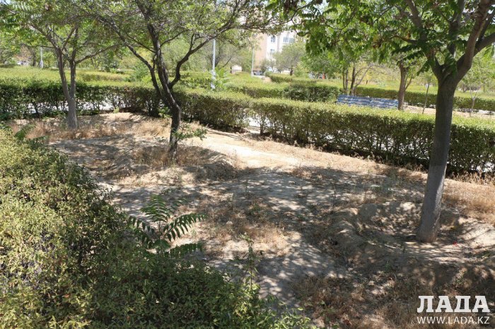 Фоторепортаж: Состояние зеленых насаждений у мечети в Актау