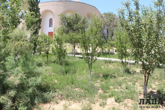 Фоторепортаж: Состояние зеленых насаждений у мечети в Актау