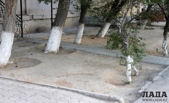 Полив по факту: Исполнение графика в Актау 20 июня