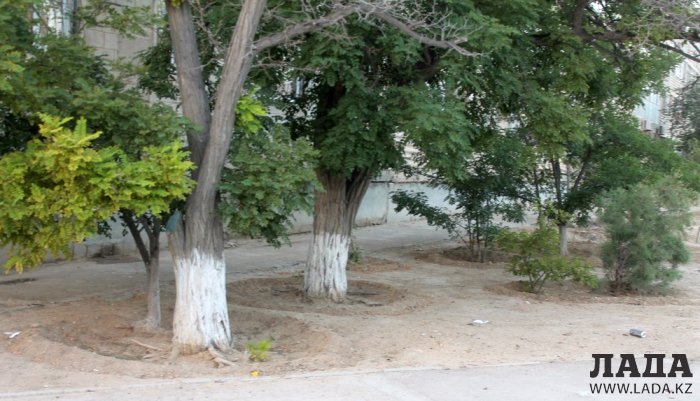 Полив по факту: Исполнение графика в Актау 20 июня