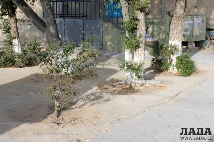 Полив по факту: Исполнение графика в Актау 20 июня