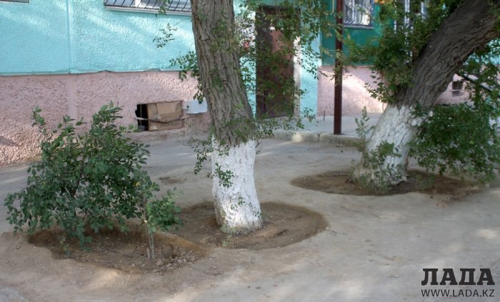 Полив по факту: Исполнение графика в Актау 20 июня