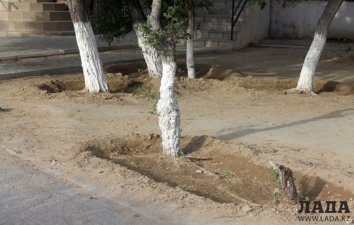 Полив по факту: Исполнение графика в Актау 20 июня