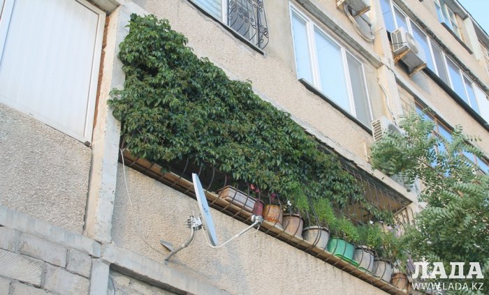 Полив по факту: Исполнение графика в Актау 20 июня