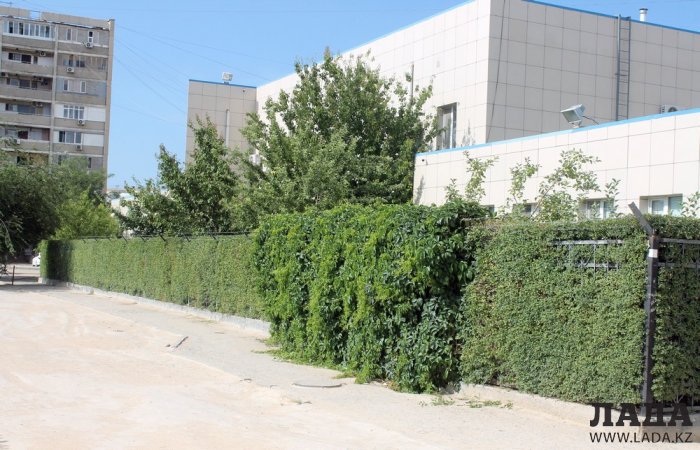 Полив по факту: Исполнение графика в Актау 20 июня