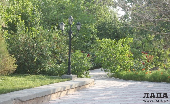 Полив по факту: Исполнение графика в Актау 20 июня