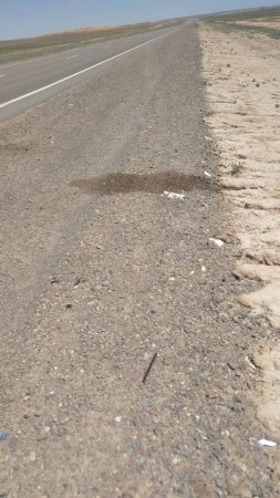 Мать погибшего в аварии жителя Актау заявила о пропаже большой суммы денег