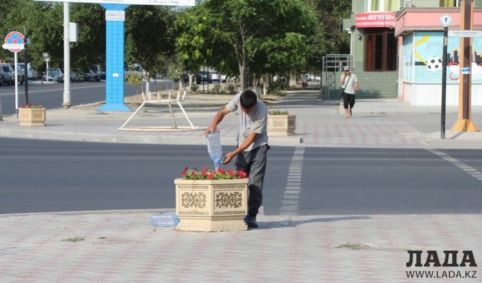 Полив по факту: Исполнение графика в Актау 21 июня