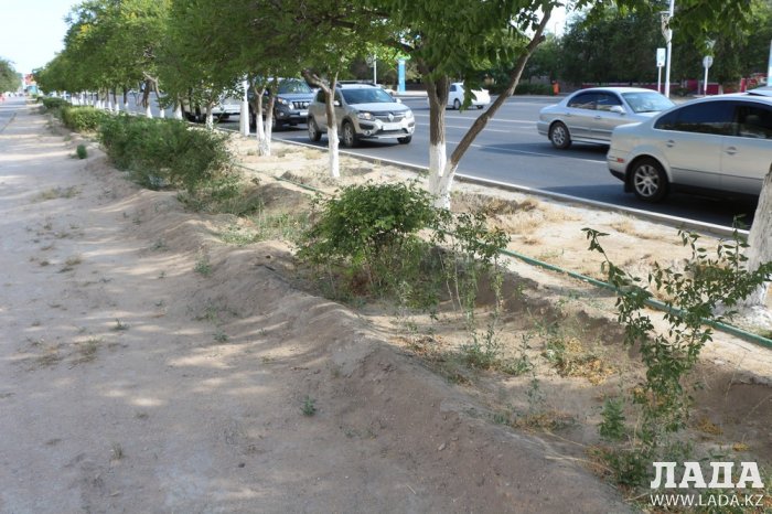 Полив по факту: Исполнение графика в Актау 21 июня