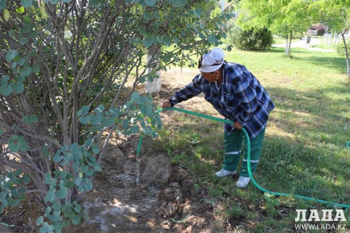 Полив по факту: Исполнение графика в Актау 21 июня