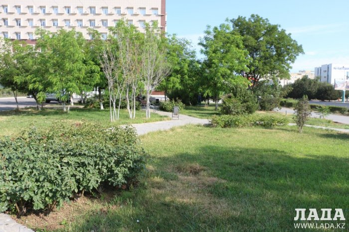 Полив по факту: Исполнение графика в Актау 21 июня