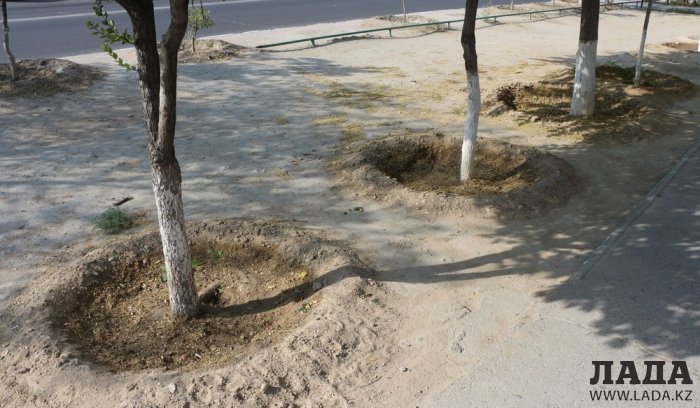 Полив по факту: Исполнение графика в Актау 21 июня