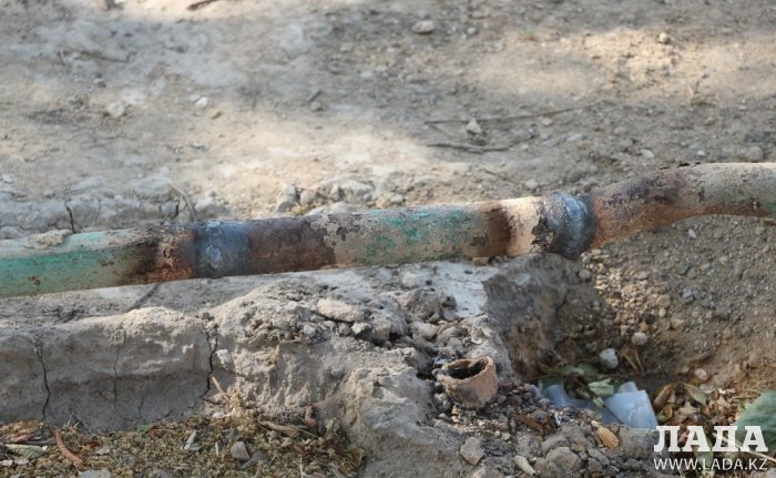 Полив по факту: Исполнение графика в Актау 21 июня