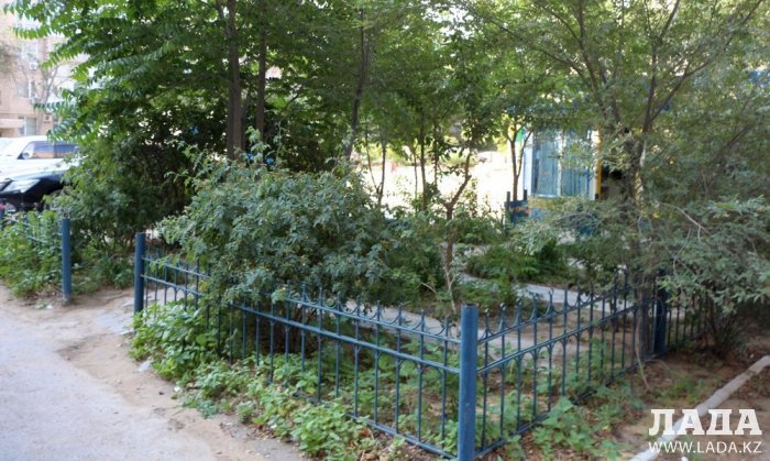 Полив по факту: Исполнение графика в Актау 21 июня