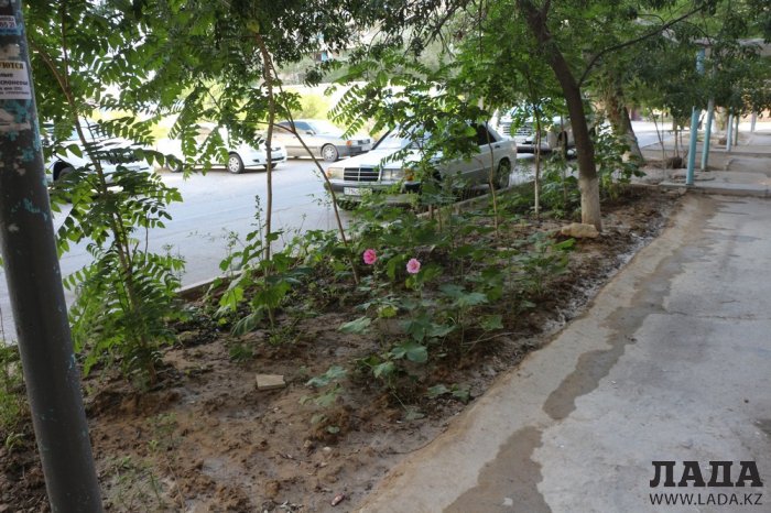 Полив по факту: Исполнение графика в Актау 21 июня