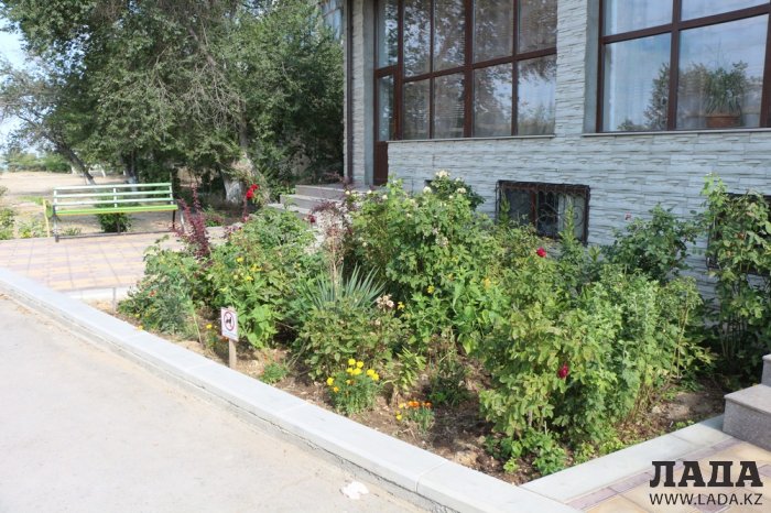 Полив по факту: Исполнение графика в Актау 21 июня