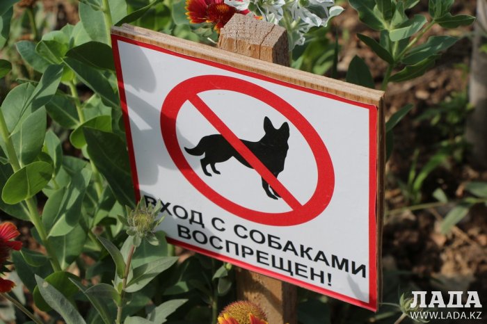 Полив по факту: Исполнение графика в Актау 21 июня