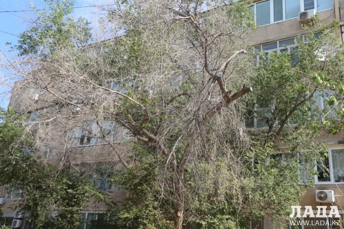 Полив по факту: Исполнение графика в Актау 21 июня