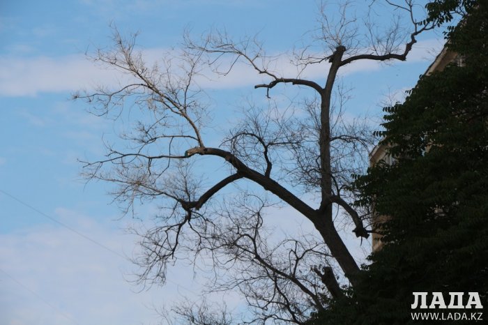 Полив по факту: Исполнение графика в Актау 21 июня