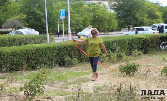 Полив по факту: Исполнение графика в Актау 21 июня