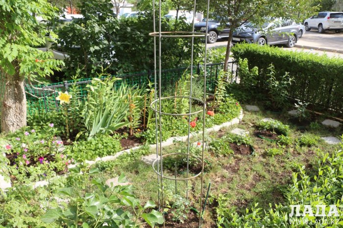 Полив по факту: Исполнение графика в Актау 21 июня