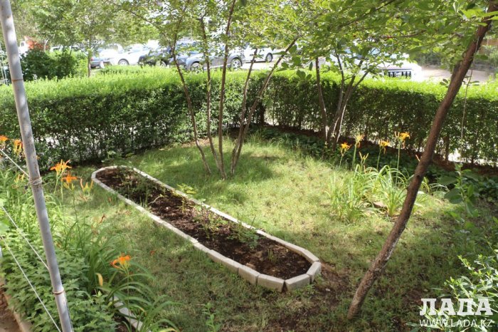 Полив по факту: Исполнение графика в Актау 21 июня