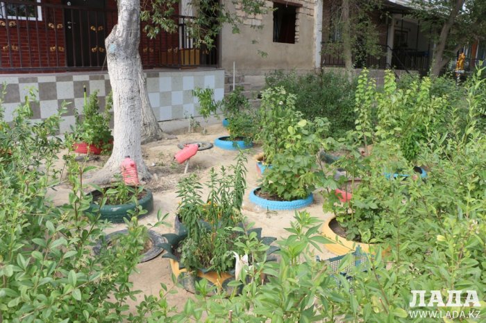 Полив по факту: Исполнение графика в Актау 21 июня