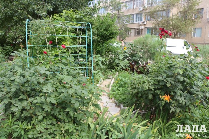 Полив по факту: Исполнение графика в Актау 21 июня