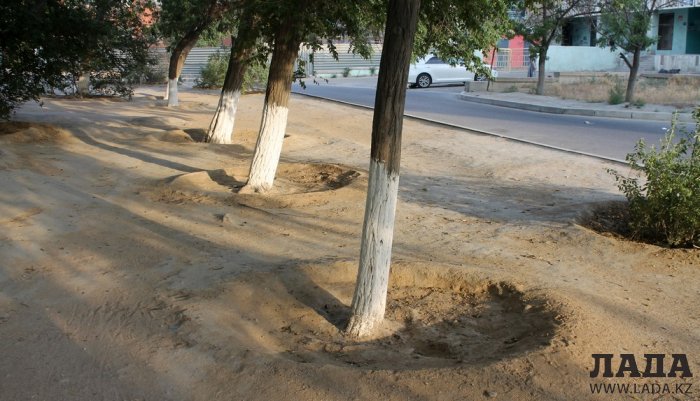 Полив по факту: Исполнение графика в Актау 22 июня