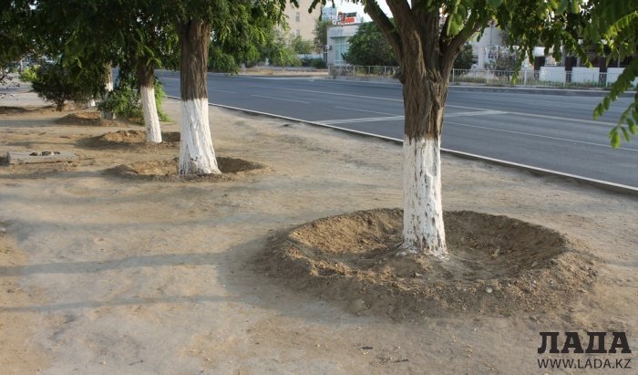 Полив по факту: Исполнение графика в Актау 22 июня