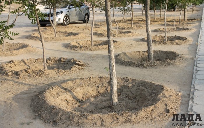 Полив по факту: Исполнение графика в Актау 22 июня