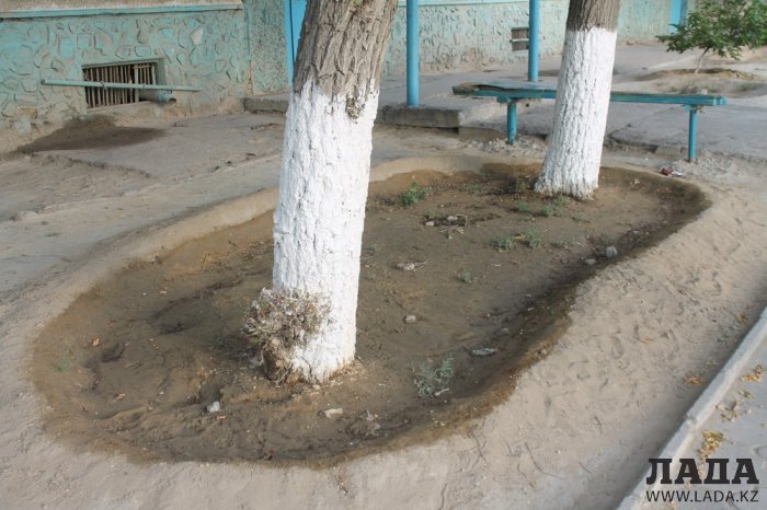 Полив по факту: Исполнение графика в Актау 22 июня