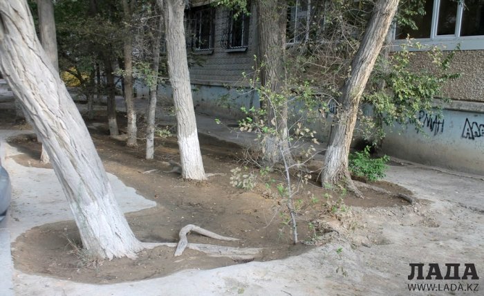 Полив по факту: Исполнение графика в Актау 22 июня