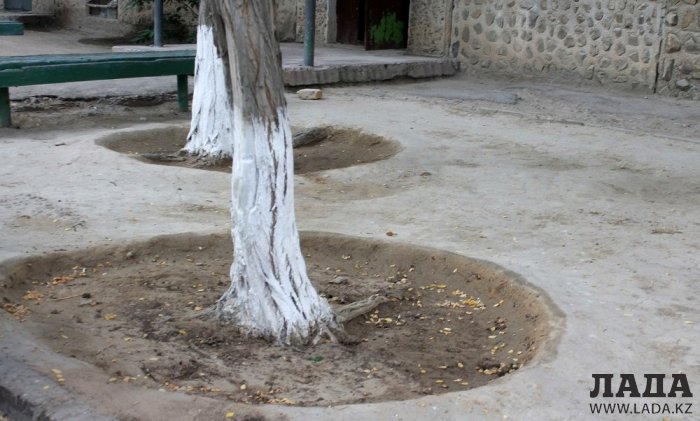 Полив по факту: Исполнение графика в Актау 22 июня