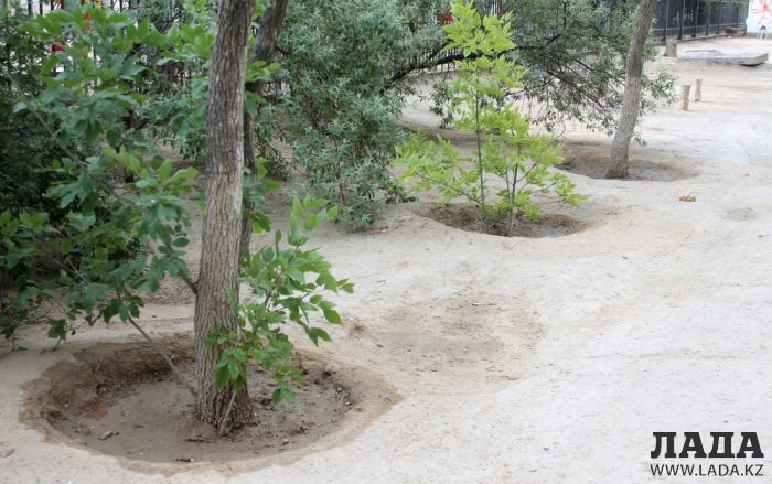 Полив по факту: Исполнение графика в Актау 22 июня