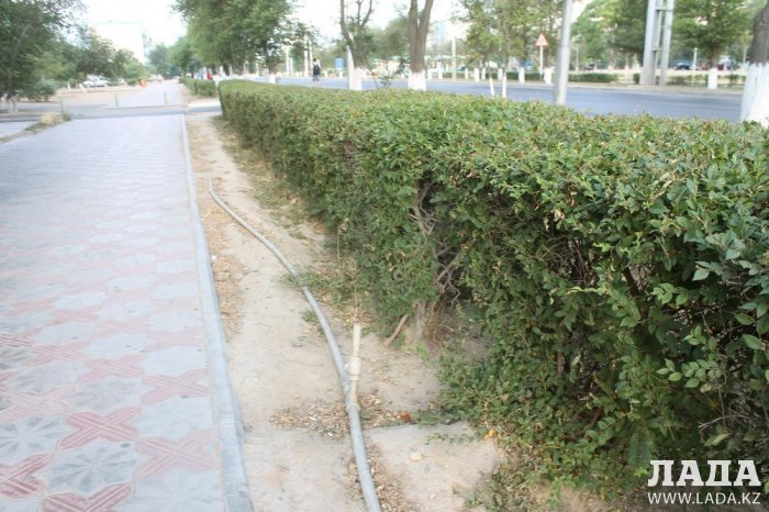 Полив по факту: Исполнение графика в Актау 22 июня