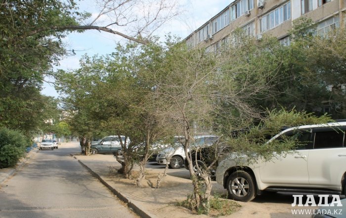 Полив по факту: Исполнение графика в Актау 22 июня