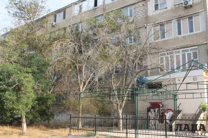 Полив по факту: Исполнение графика в Актау 22 июня