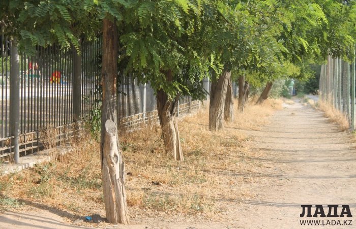 Полив по факту: Исполнение графика в Актау 22 июня