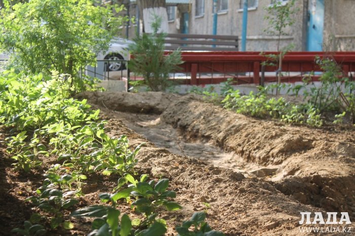 Полив по факту: Исполнение графика в Актау 22 июня