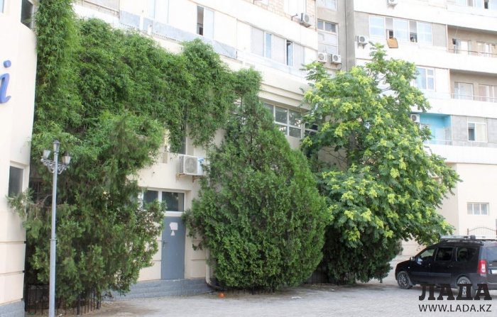 Полив по факту: Исполнение графика в Актау 22 июня