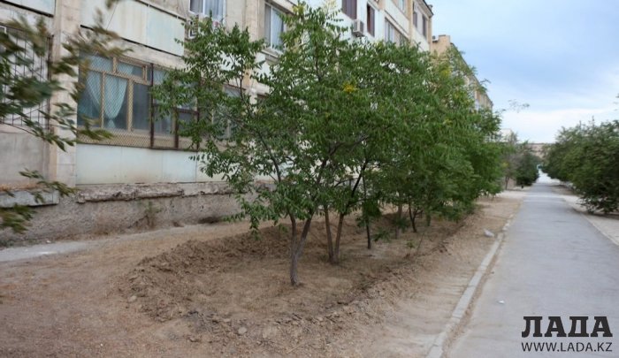 Полив по факту: Исполнение графика в Актау 24 июня