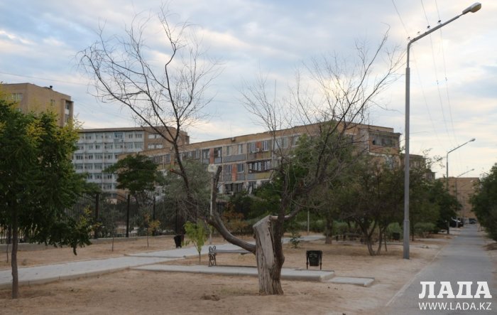 Полив по факту: Исполнение графика в Актау 24 июня