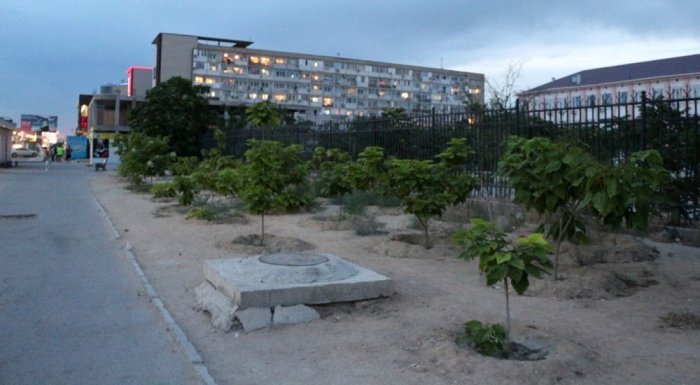 Полив по факту: Исполнение графика в Актау 24 июня