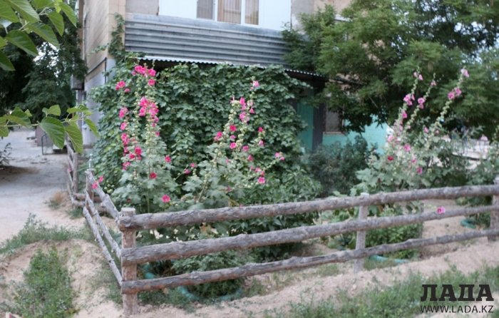 Полив по факту: Исполнение графика в Актау 24 июня