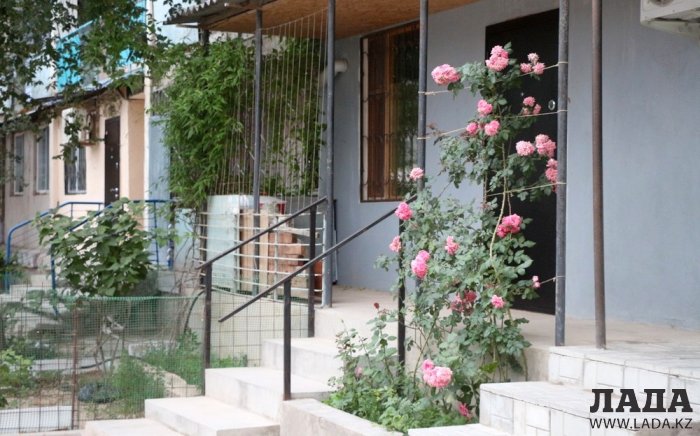 Полив по факту: Исполнение графика в Актау 24 июня