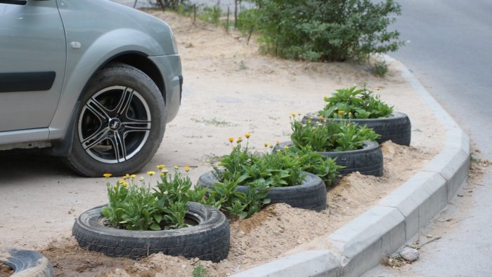 Полив по факту: Исполнение графика в Актау 24 июня