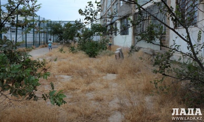 Полив по факту: Исполнение графика в Актау 24 июня